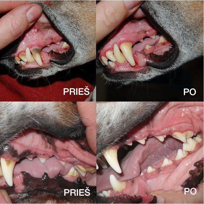 oralcleancare forte geel